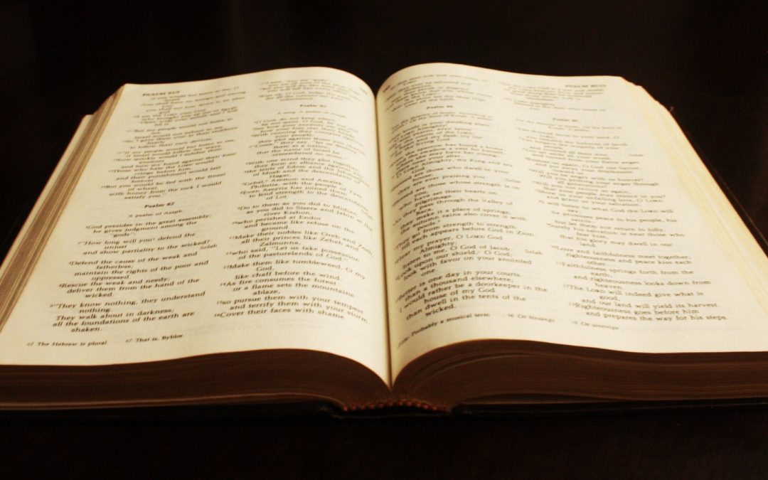 10 Gründe, warum du die Bibel lesen solltest